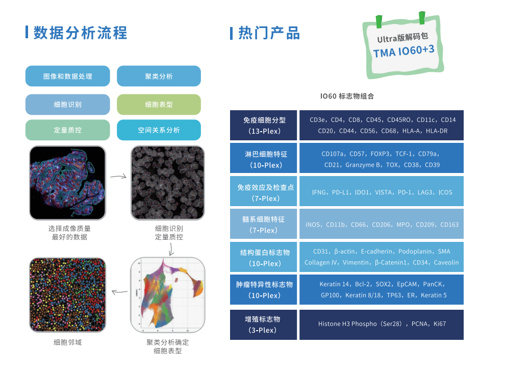 芯空一号-整体解决方案解码微观世界全景图