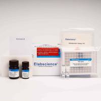 氧消耗率(OCR)荧光法测试盒 | Oxygen Consumption Rate (OCR) Fluorometric Assay Kit