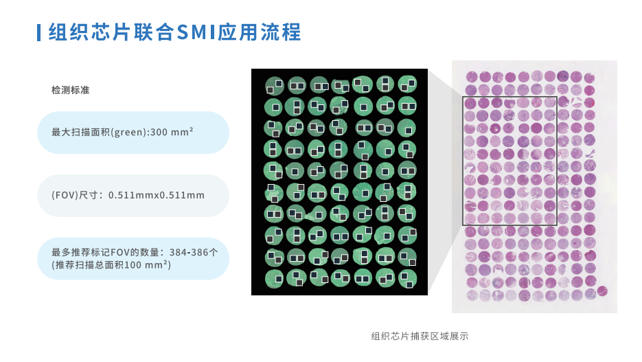 芯空一号-整体解决方案解码微观世界全景图