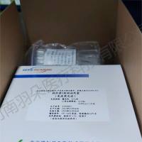 诺尔曼 胱抑素C检测试剂盒（免疫荧光法）