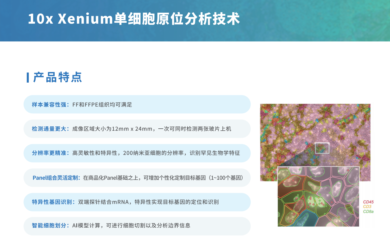 芯空一号-整体解决方案解码微观世界全景图