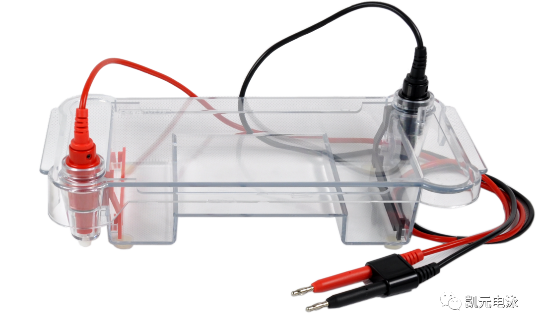SC12型水平电泳槽