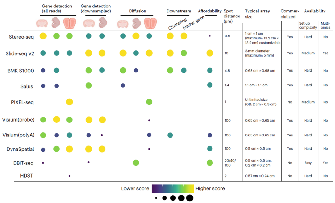 空间转录组入门必看！带你揭开细胞“朋友圈”的秘密