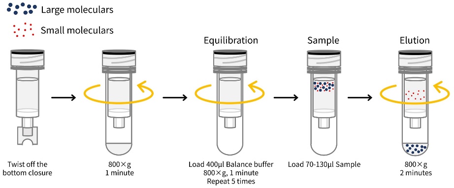 BeyoDesalt™ 6FF Spin脱盐柱