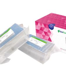 MagaBio plus病毒DNA RNA纯化试剂盒Ⅵ1