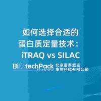 如何选择合适的蛋白质定量技术:iTRAQ vs SILAC