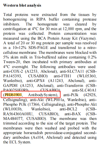 Anti-SLC40A1 Polyclonal Antibo
