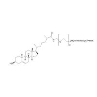 Cholesterol-PEG-CRGVPHIVMVDAYKRYK