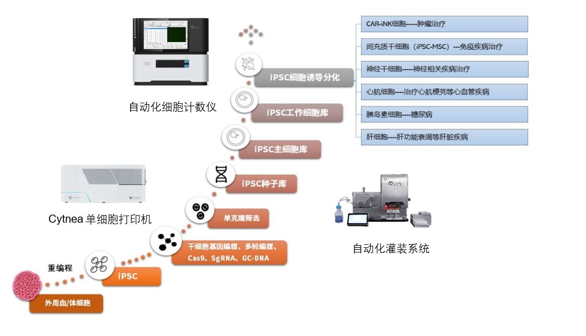 ipsc干细胞单克隆筛选与建库解决方案