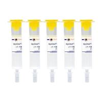 BeyoDesalt™ G-10 Midi脱盐柱