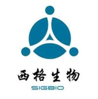 猪肝实质细胞永生化