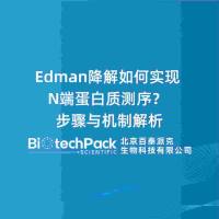 Edman降解如何实现N端蛋白质测序?步骤与机制解析