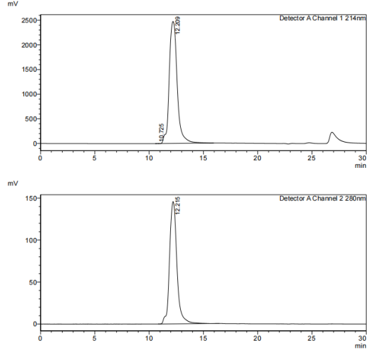 Recombinant Human SEZ6L/ His P