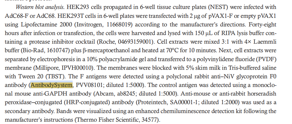 Anti-Ni-pah v-irus/HeV F/Fusio