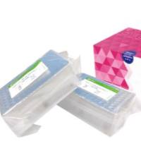 MagaBio plus 病毒DNA/RNA 纯化试剂盒Ⅳ2