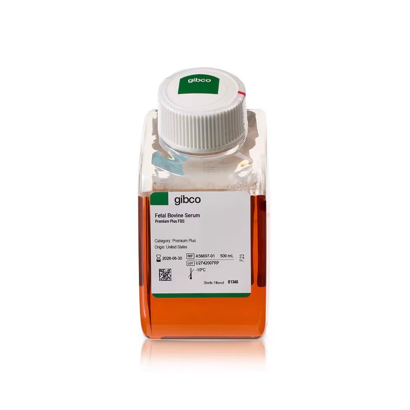 Gibco A5669701 胎牛血清 Premium Plus 500ML