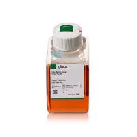 Gibco A5669701 胎牛血清 Premium Plus 500ML