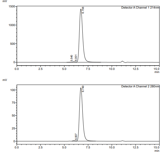 Recombinant Human PSMA/hFC Pro