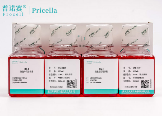 可维持细胞理想增殖状态，HK-2细胞专用培养基成分解析