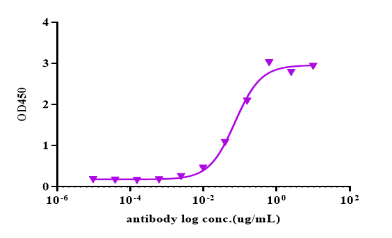 Recombinant Human PRLR/His Pro