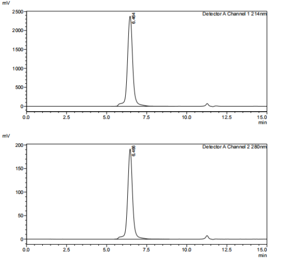 Recombinant Human AXL/hFC Prot