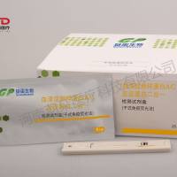 基蛋生物 血清淀粉样蛋白A/C反应蛋白二合一检测试剂盒(干式免疫荧光法)
