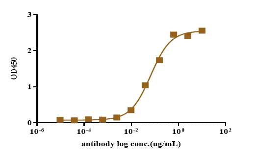 Recombinant Human Siglec-7(CD3