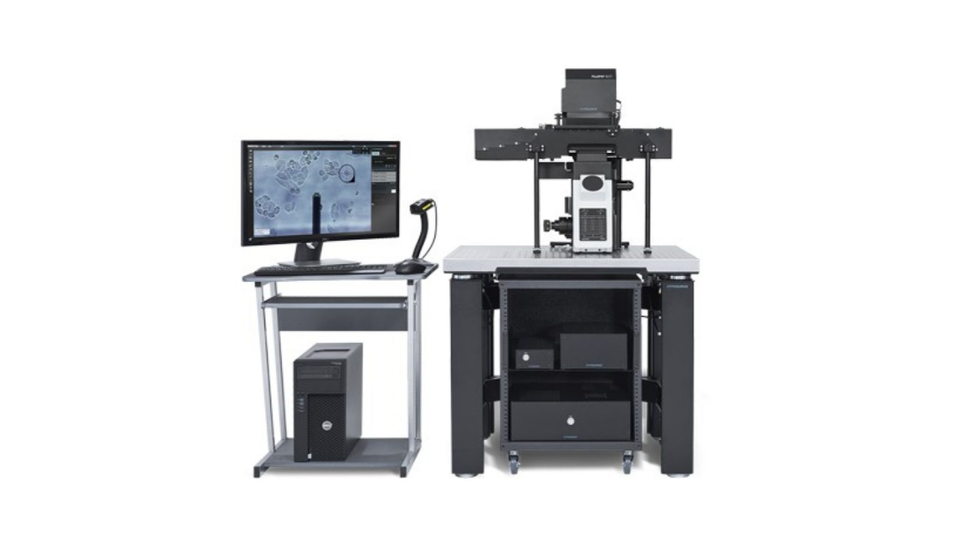 浙江大学发表重要成果！单细胞力谱技术助力天然粘合剂的纳米药物研发，攻克持久性原位免疫疗法难题