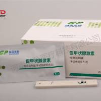 基蛋生物 促甲状腺激素检测试剂盒(干式免疫荧光法)