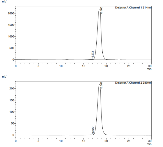 Recombinant Human PRLR/His Pro