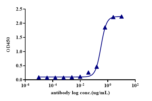 Recombinant Human AXL/hFC Prot