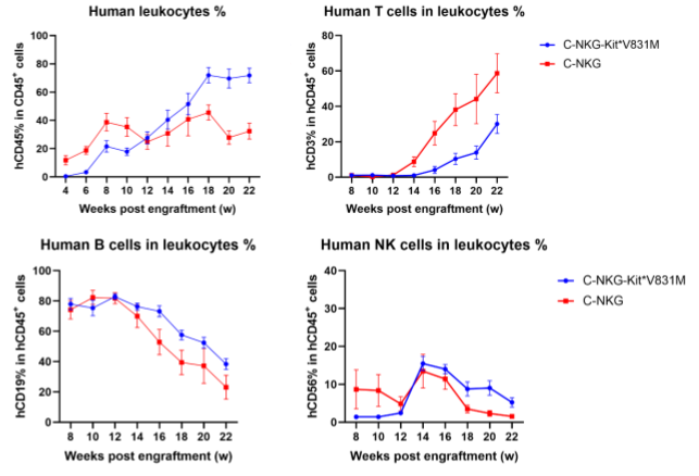 不止免辐照！Kit*W41等位基因支持人源化小鼠高效红细胞重建与更优抗体反应