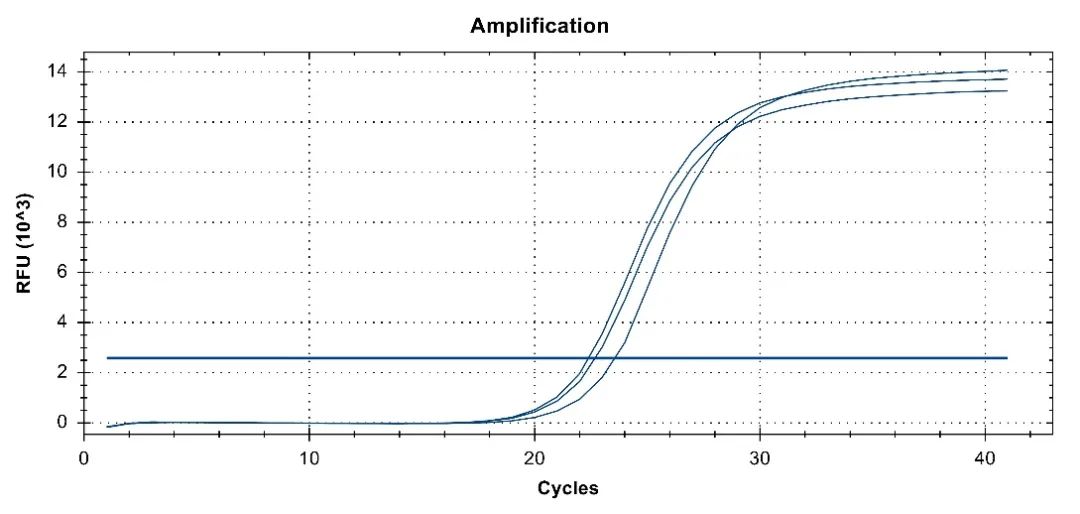 荧光定量PCR结果重复性差？送你两个救命锦囊