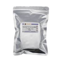 BeyoDesalt™ 6FF Spin脱盐柱