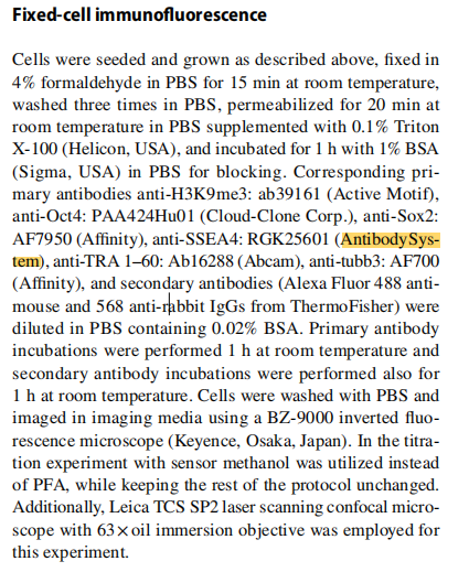 Anti-SSEA4 Antibody (MC813-70)