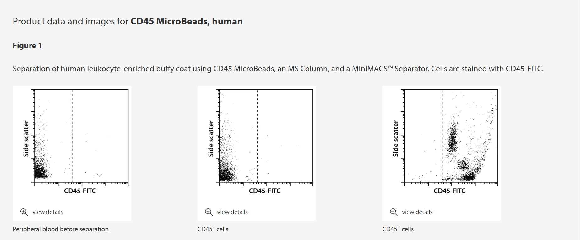 美天旎Miltenyi货号130-045-801人CD45磁