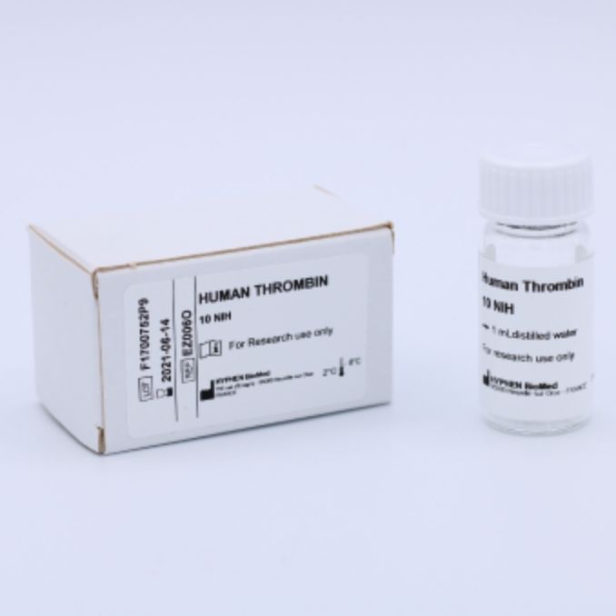 HYPHEN BioMed 人凝血酶EZ006K（Human Thrombin）