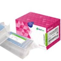 RT 007AMV逆转录酶2