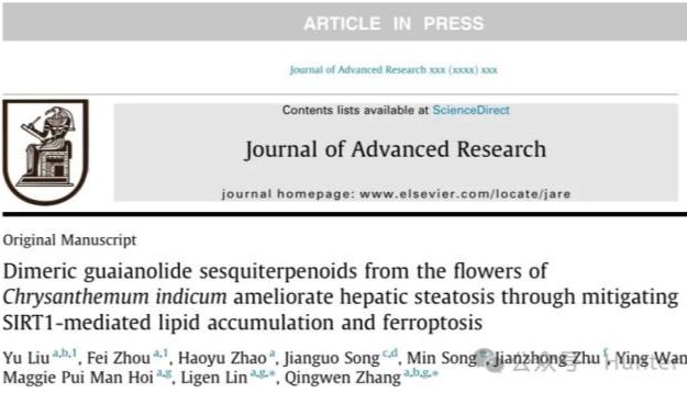 IF=11.4丨J Adv Res.：野菊花倍半萜类化合物通过减轻SIRT1介导的脂质积累和铁死亡来改善肝脂肪变性
