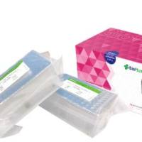 腺病毒通用型及3/4/7型核酸检测试剂盒（荧光PCR法）1