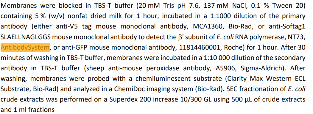 Anti-Softag1 Tag (SLAELLNAGLGG