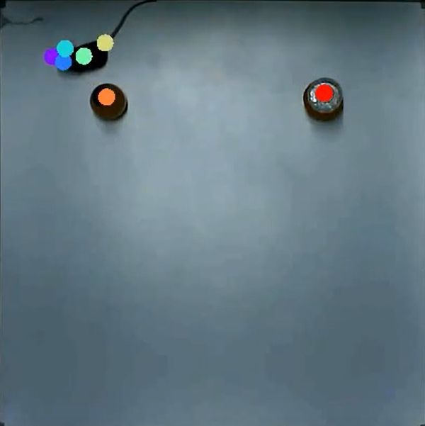 AI新物体识别精细行为分析系统