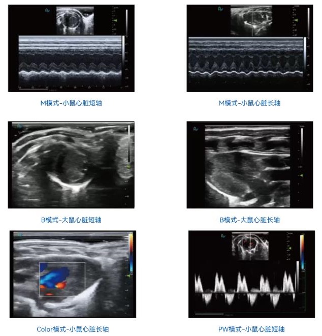 产品细节图片12