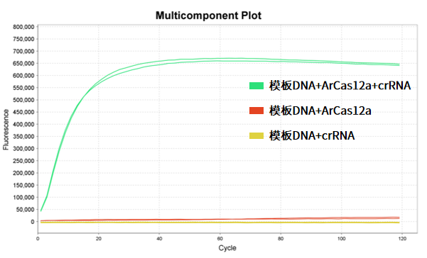 干货 | 6个月定制一剂药！从KJ的奇迹看基因编辑如何改写“罕见病无解”定律