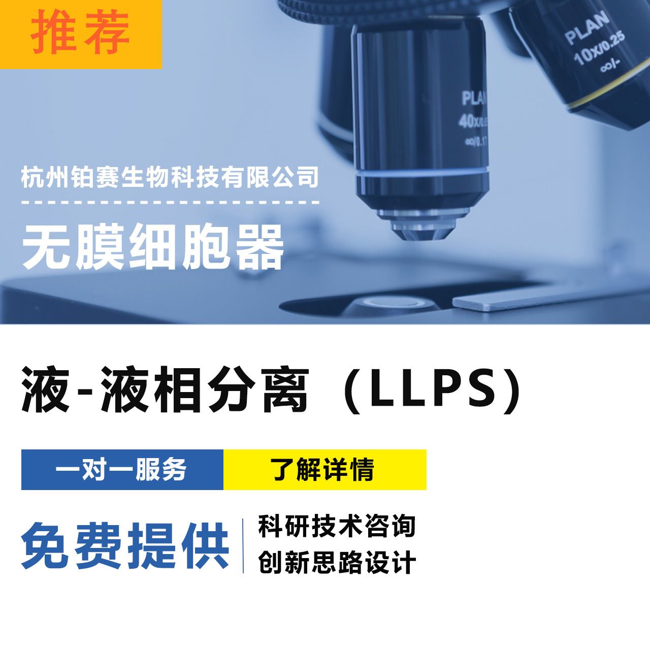 液-液相分离(LLPS)/无膜细胞器研究