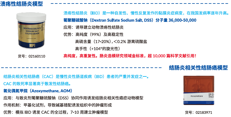【文献解读】肠道微生物 L-鸟氨酸在增强乌司替尼单抗治疗克罗恩病疗效中的协同作用