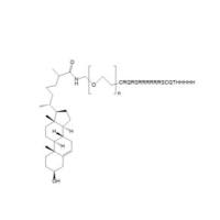 Cholesterol-PEG-CRQRSRRRRRRSCQTHHHHH
