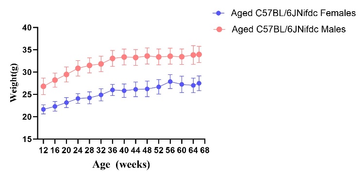 靠谱的C57老龄鼠模型需要具备哪些有效的测试数据？