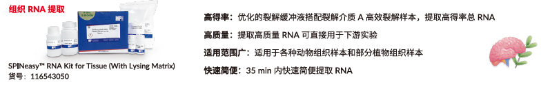 【文献解读】肠道微生物 L-鸟氨酸在增强乌司替尼单抗治疗克罗恩病疗效中的协同作用