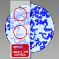 Remel QC-Slide染色质控品 AFB染色质控片R40144,革兰氏染色质控片R40140等